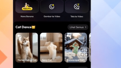 Cara Menggunakan Aplikasi Vivago.ai untuk Pemula dan Berbagai Manfaatnya