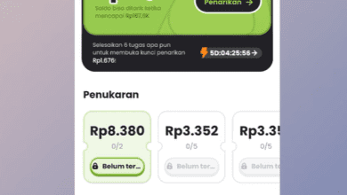 Pinjoy Apk Apakah Terbukti Membayar? Review Penarikan ke DANA!