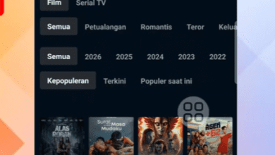 Cara Pakai Aplikasi ShowHub untuk Streaming dan Download Film Tanpa Ribet