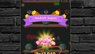 Flower Joy Apk Apakah Terbukti Membayar ke DANA? Review Terbaru!