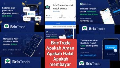 Apakah Aplikasi BRIC TRADE Benar Menghasilkan Uang untuk Trader Pemula?