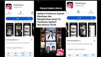 Apakah Aplikasi PineDrama Benar Benar Menghasilkan Uang dan Membayar Penggunanya?
