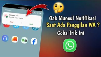 Bingung Kenapa Panggilan WhatsApp Tidak Muncul di Layar HP? Ini Solusinya!