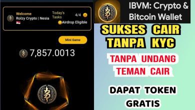 Dapat Uang Gratis Dari Aplikasi IBVM Terbaru Tanpa KYC, Daftar Sekarang!