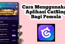Panduan Praktis Menggunakan Aplikasi CatSing untuk Pemula di 2026