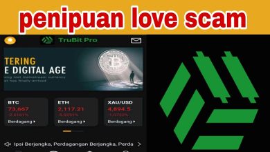 Waspadalah! Potret Mengkhawatirkan dari Love Scam dan Penipuan Trading