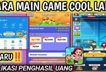 Panduan Menggunakan Aplikasi Cool Lady untuk Pemula