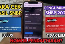Panduan Mudah Mengecek Hasil SNBP 2026 Langsung Dari HP
